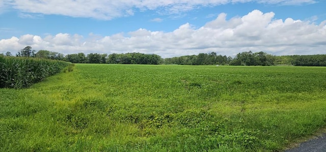 . Bullbeggar Road 0021, Withams, VA 23488 - photo 1