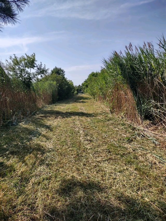 LOT1 Main St Unit 6Lots, Chincoteague, VA 23336 - photo 2
