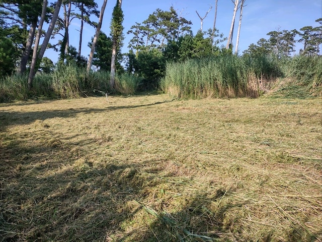 LOT1 Main St Unit 6Lots, Chincoteague, VA 23336 - photo 3