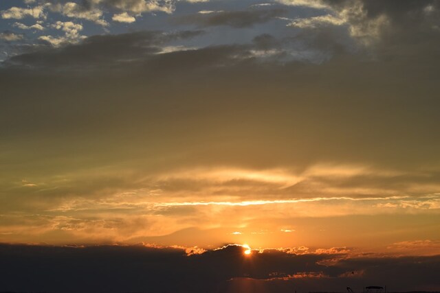 view of nature at dusk