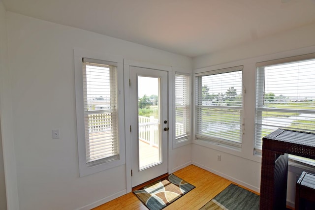 entryway featuring light hardwood / wood-style flooring and a healthy amount of sunlight