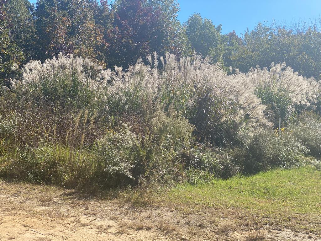 179W1 Cherry Hill Ct Unit 179W1, Hallwood, VA 23359 - photo 1