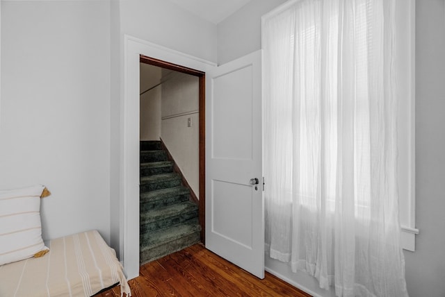 stairway featuring wood-type flooring