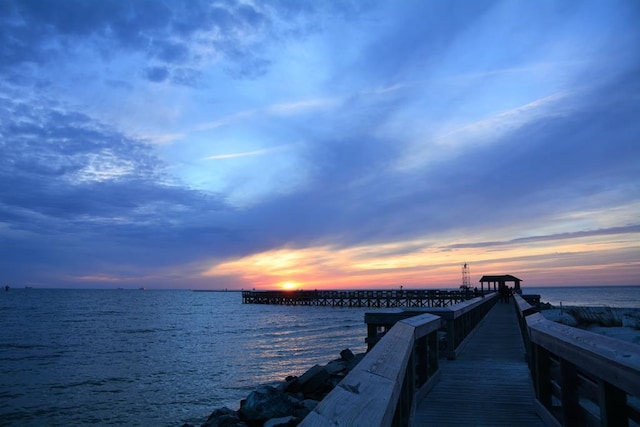 dock area with a water view