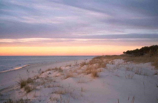 nature at dusk with a view of the beach and a water view