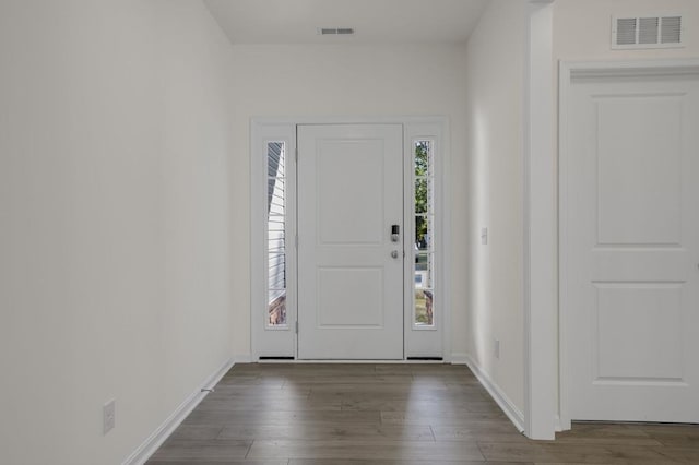 foyer entrance featuring wood-type flooring and a healthy amount of sunlight