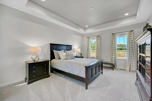 carpeted bedroom featuring a raised ceiling