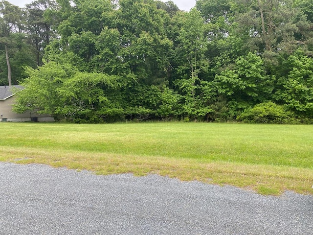 LOT68 Octopus Unit 68, Greenbackville VA, 23356 land for sale