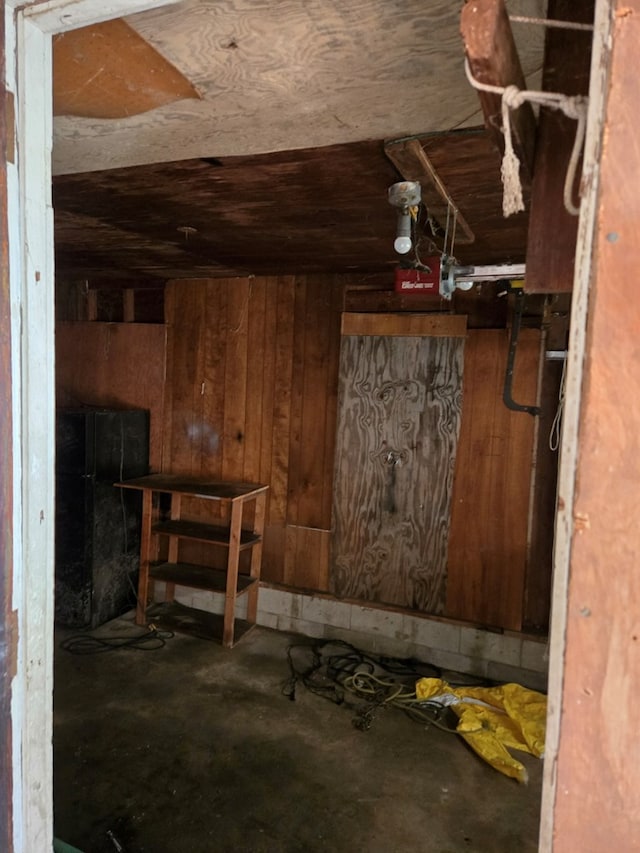 basement with wooden walls