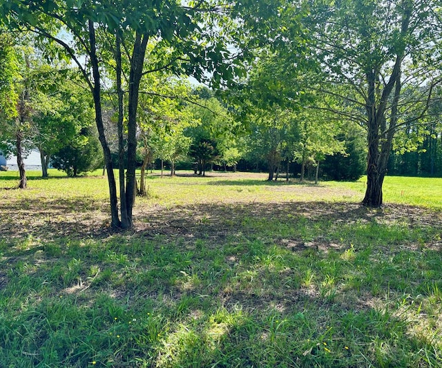 LOT4 Pine Meadows Way Unit 4, Exmore VA, 23350 land for sale