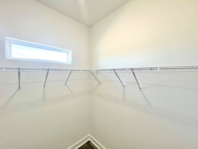 37734 Blue Crab Cir, Painter, VA 23420 - view of walk in closet