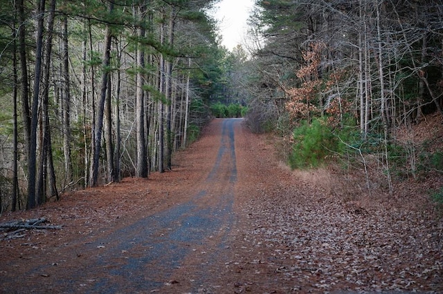 view of road with a forest view