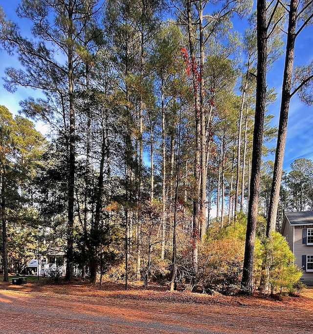 Listing photo 3 for LOT502 Driftwood Dr Unit 502, Greenbackville VA 23356