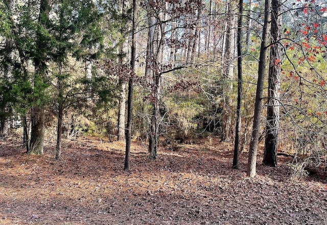 LOT502 Driftwood Dr Unit 502, Greenbackville VA, 23356 land for sale