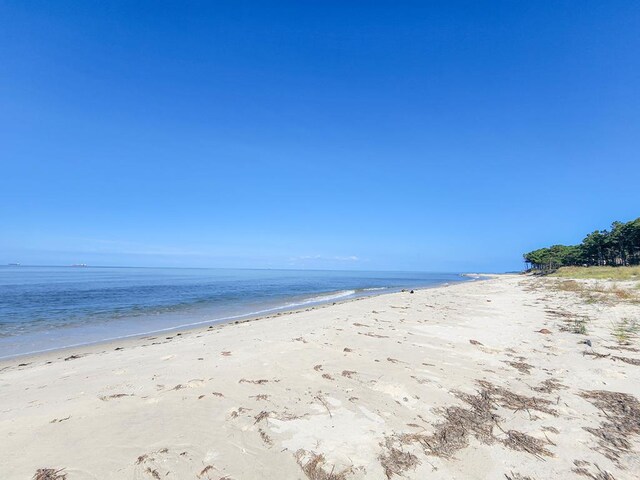 12A Sand Hill Dr Unit 12A, Cape Charles, VA 23310 - photo 43