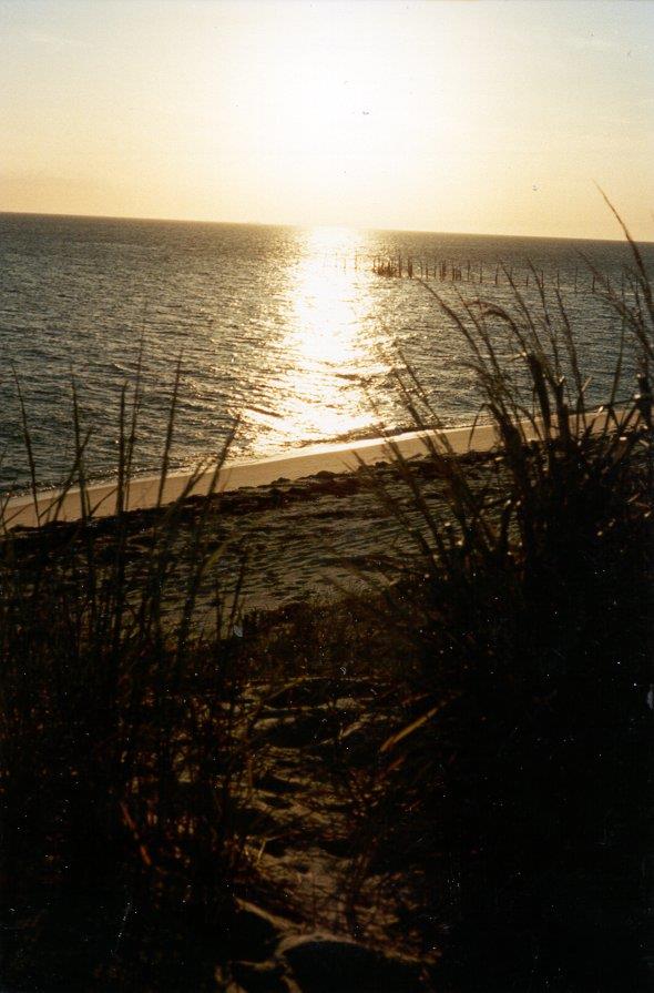 12A Sand Hill Dr Unit 12A, Cape Charles, VA 23310 - photo 33