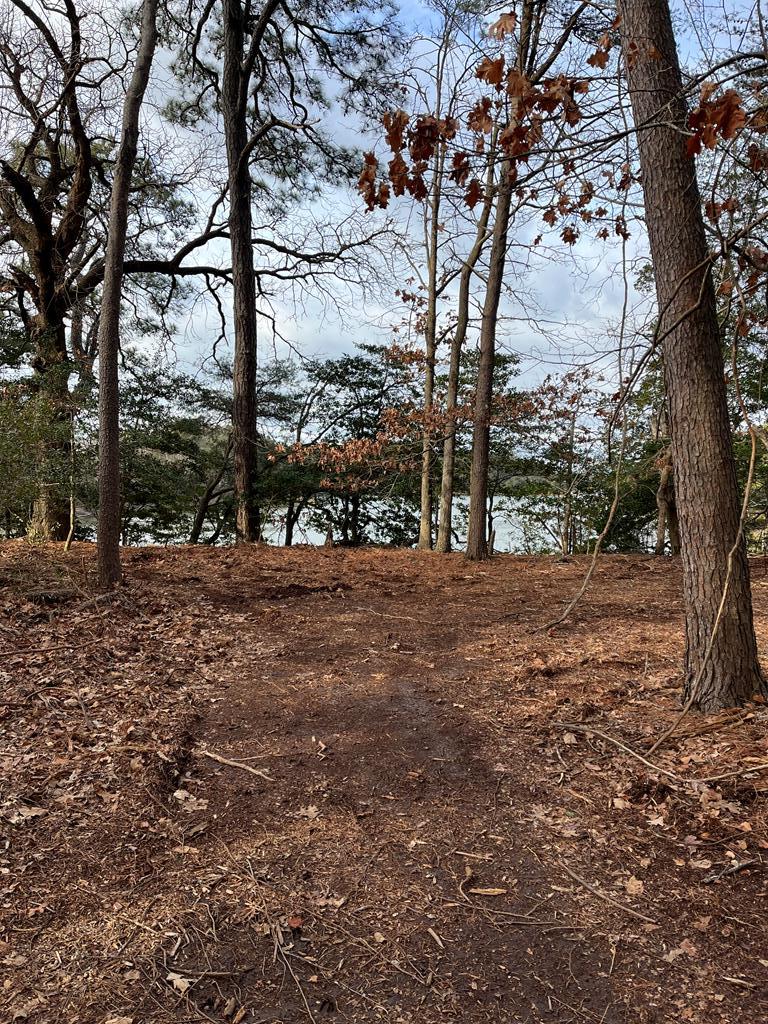 000 Greenbriar Ct Unit A3, Eastville, VA 23347 - photo 3