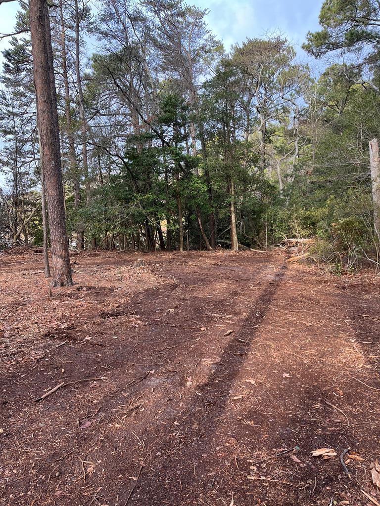 000 Greenbriar Ct Unit A3, Eastville, VA 23347 - photo 2