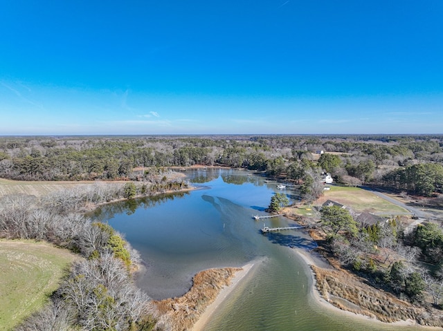 18 Bluff Dr Unit 18, Belle Haven, VA 23306 - photo 16
