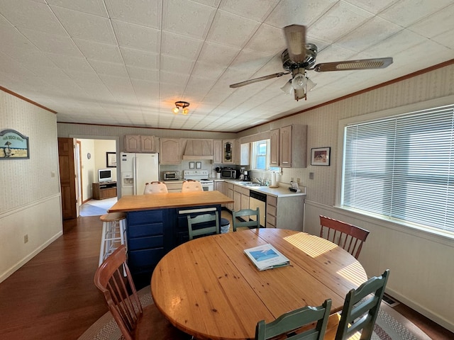 dining area with crown molding, sink, ceiling fan, and dark hardwood / wood-style flooring