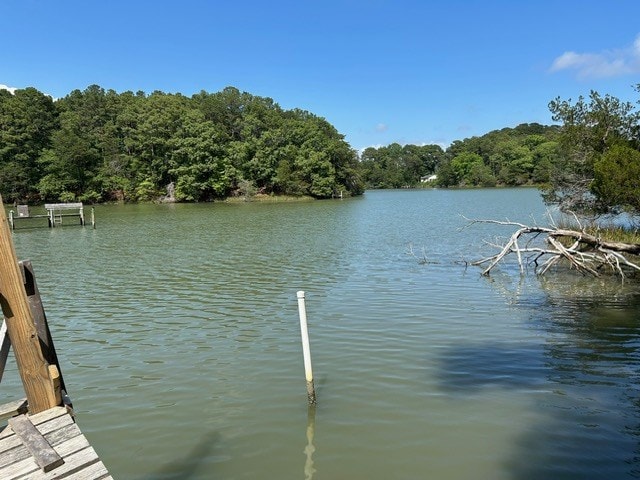 12103 Trout Ln, Machipongo, VA 23405 - photo 20