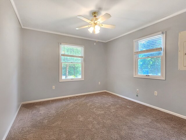 2282 Brigantine Blvd, Greenbackville, VA 23356 - photo 24