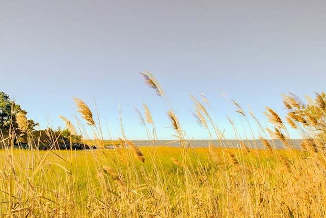 view of nature