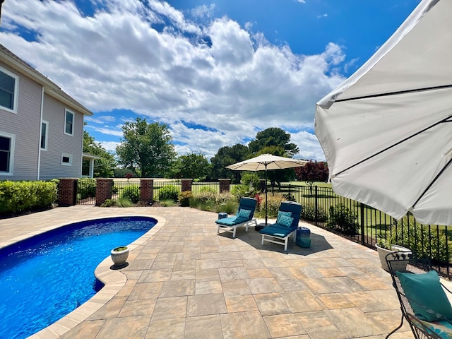 2453 Sand Hill Dr, Cape Charles, VA 23310 - view of swimming pool featuring a patio area