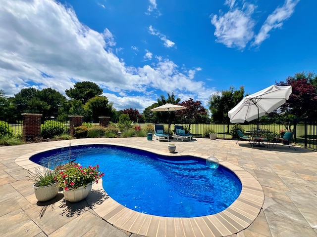 2453 Sand Hill Dr, Cape Charles, VA 23310 - view of pool featuring a patio area