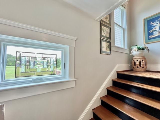 2453 Sand Hill Dr, Cape Charles, VA 23310 - staircase featuring plenty of natural light
