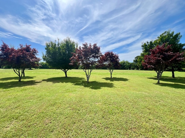 2453 Sand Hill Dr, Cape Charles, VA 23310 - view of green lawn