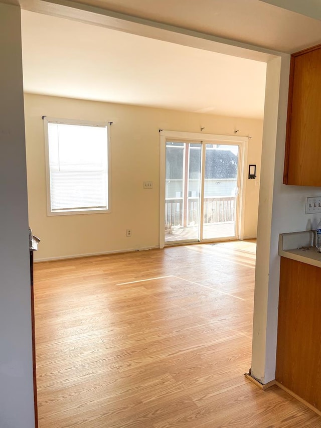 unfurnished living room featuring light hardwood / wood-style flooring