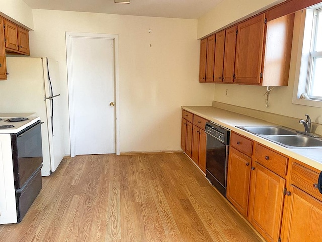 kitchen with white electric range, black dishwasher, light hardwood / wood-style flooring, and sink