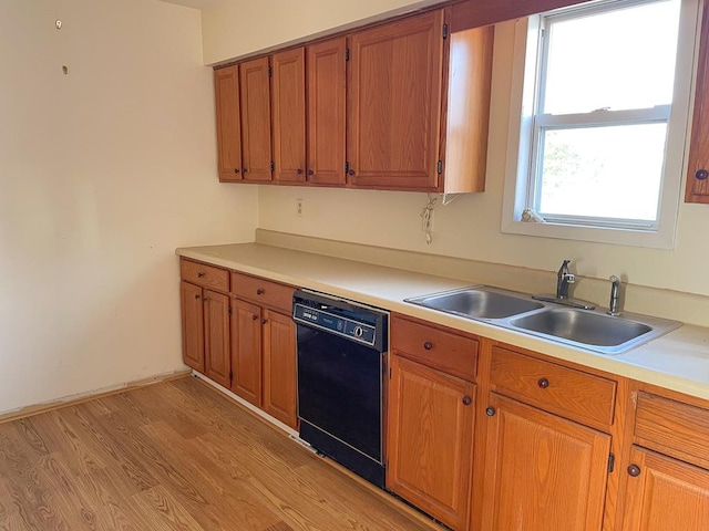 kitchen featuring black dishwasher, light hardwood / wood-style flooring, a healthy amount of sunlight, and sink