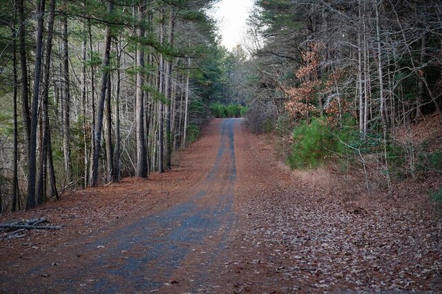 LOT72 Brigantine Blvd, Greenbackville, VA 23356 - photo 14