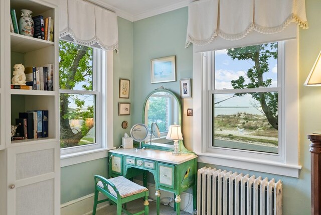 306 Bay Ave, Cape Charles, VA 23310 - office area with radiator heating unit, crown molding, and baseboards