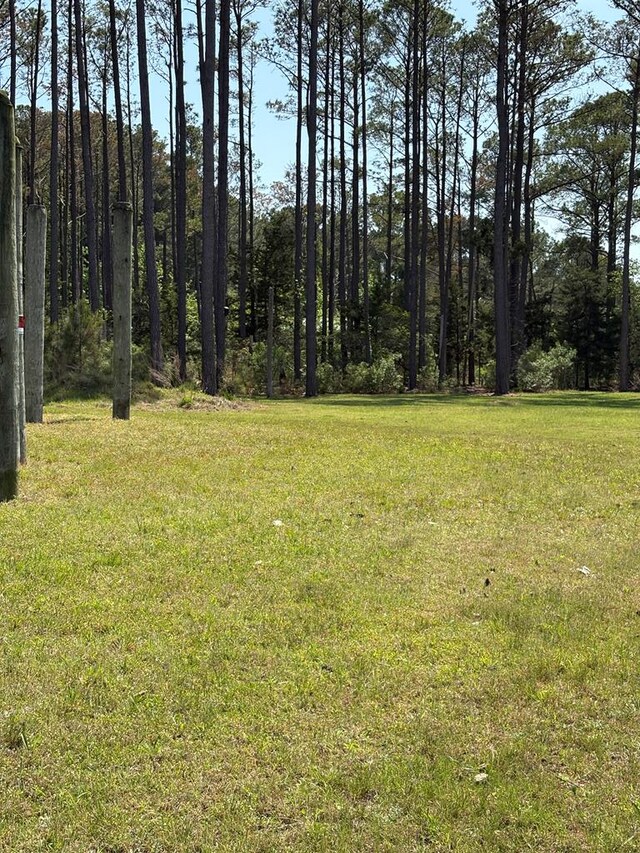 21302 Wise Point Ln Unit 1, 8, Onancock, VA 23417 - photo 47