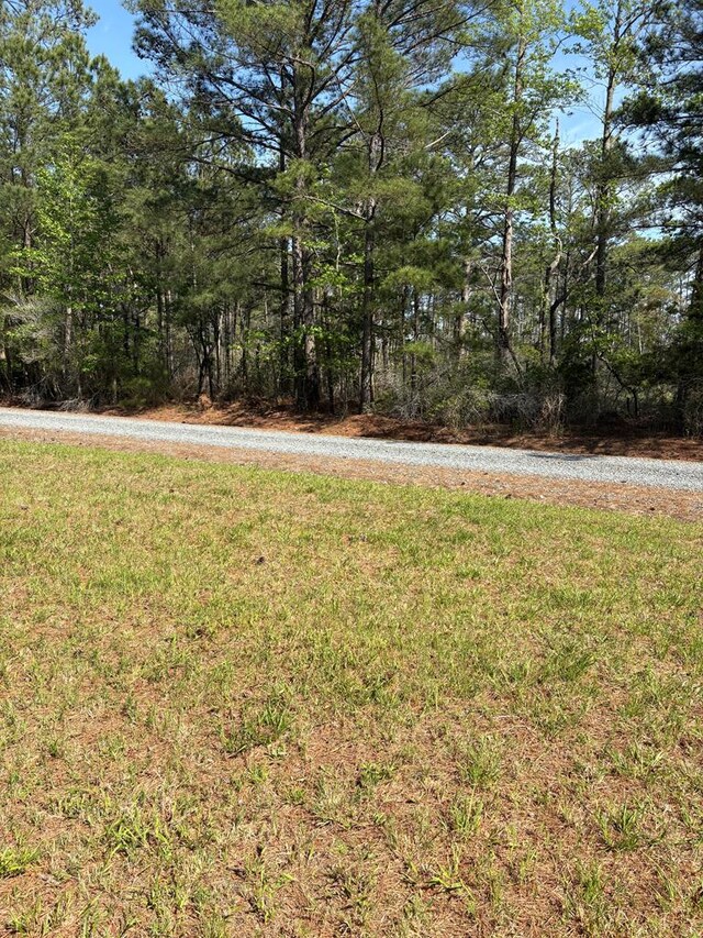 21302 Wise Point Ln Unit 1, 8, Onancock, VA 23417 - photo 23