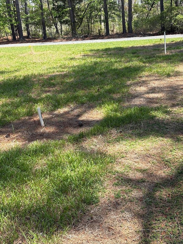 21302 Wise Point Ln Unit 1, 8, Onancock, VA 23417 - photo 64