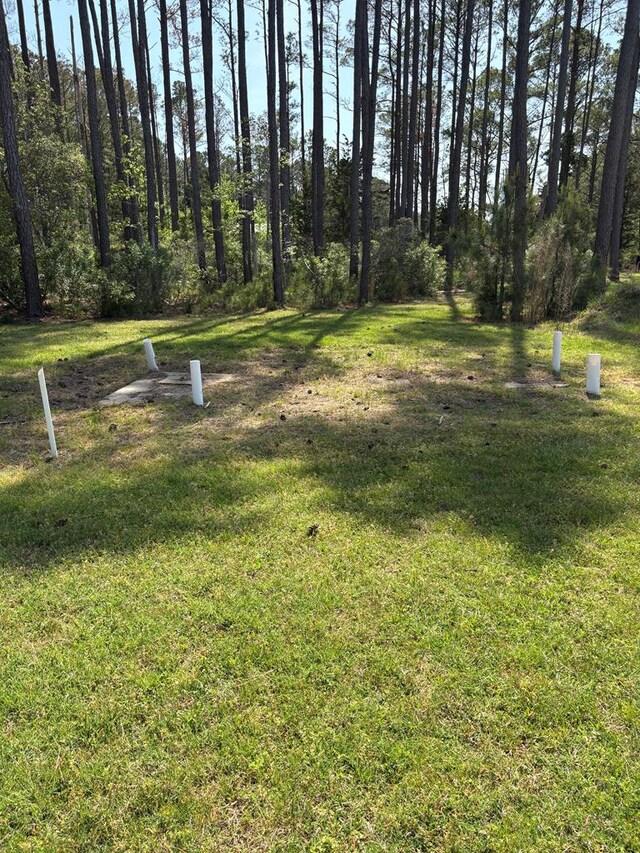 21302 Wise Point Ln Unit 1, 8, Onancock, VA 23417 - photo 20