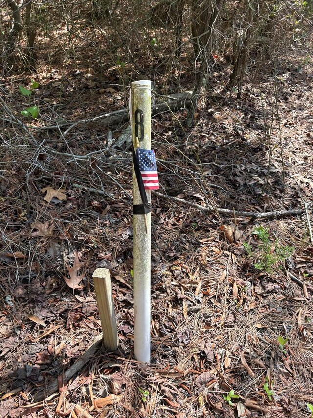 21302 Wise Point Ln Unit 1, 8, Onancock, VA 23417 - photo 29