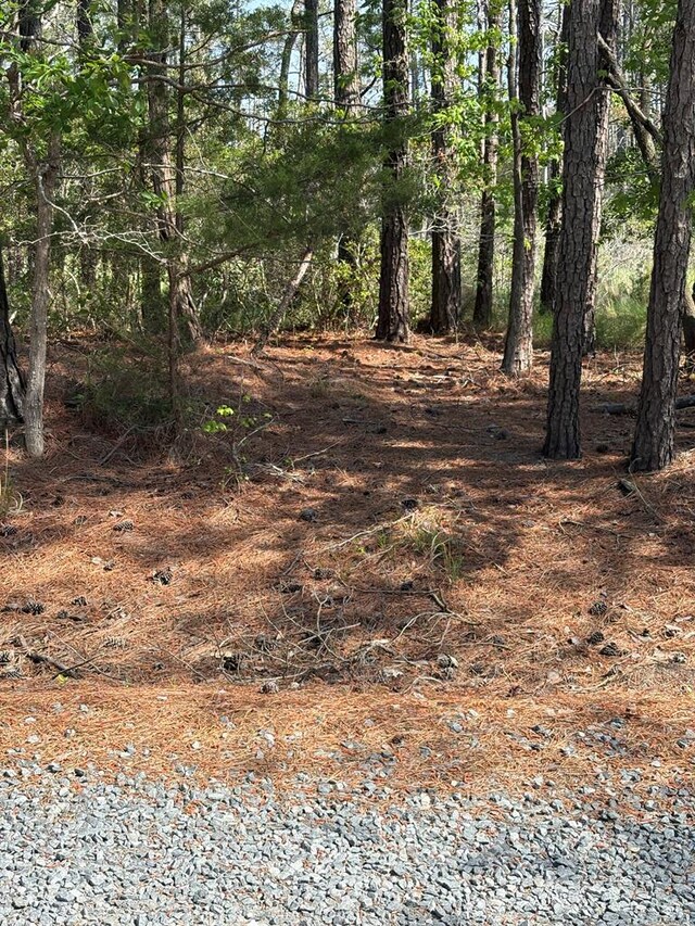 21302 Wise Point Ln Unit 1, 8, Onancock, VA 23417 - photo 30