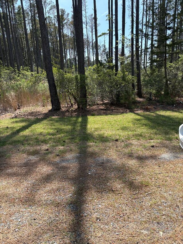 21302 Wise Point Ln Unit 1, 8, Onancock, VA 23417 - photo 66