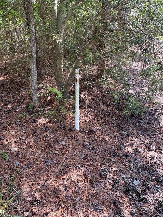 21302 Wise Point Ln Unit 1, 8, Onancock, VA 23417 - photo 32