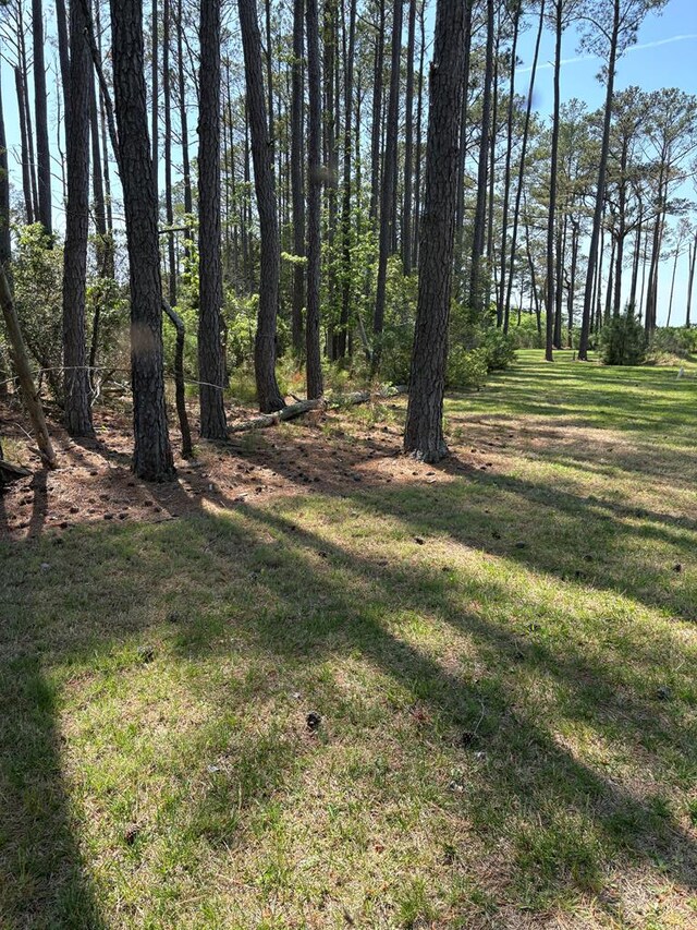 21302 Wise Point Ln Unit 1, 8, Onancock, VA 23417 - photo 65