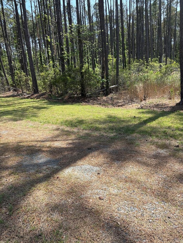21302 Wise Point Ln Unit 1, 8, Onancock, VA 23417 - photo 59