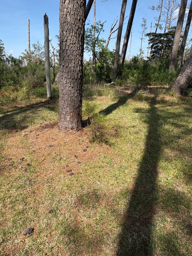 21302 Wise Point Ln Unit 1, 8, Onancock, VA 23417 - photo 52
