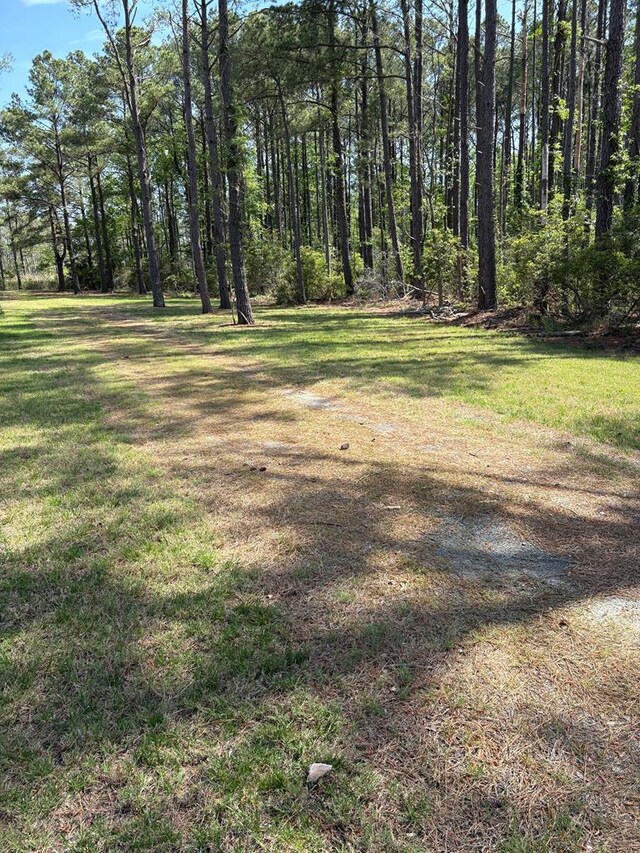 21302 Wise Point Ln Unit 1, 8, Onancock, VA 23417 - photo 53
