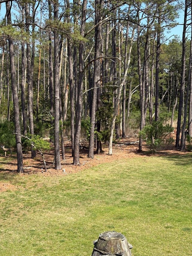 21302 Wise Point Ln Unit 1, 8, Onancock, VA 23417 - photo 43