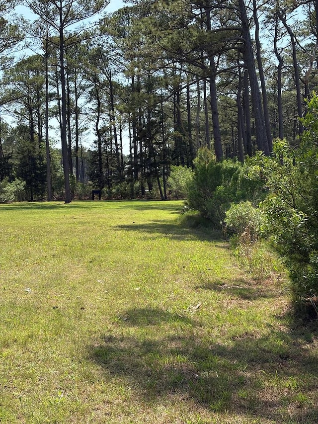 21302 Wise Point Ln Unit 1, 8, Onancock, VA 23417 - photo 46